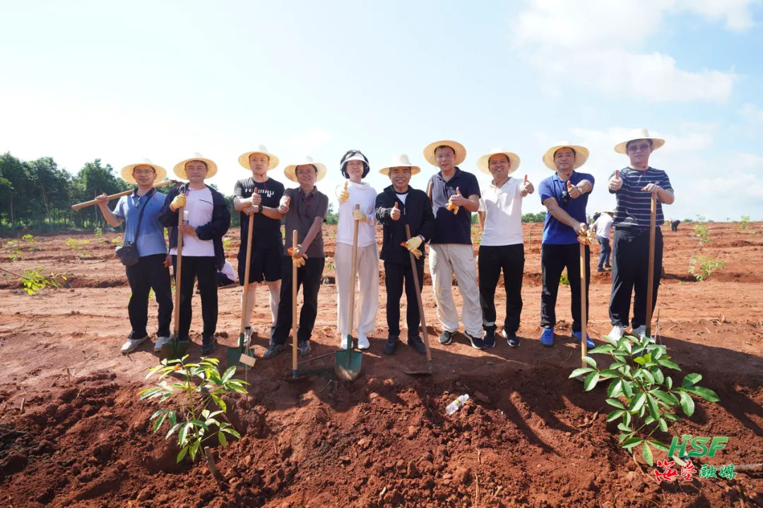 1724807575448064947.jpg 1724807575448064947.jpg