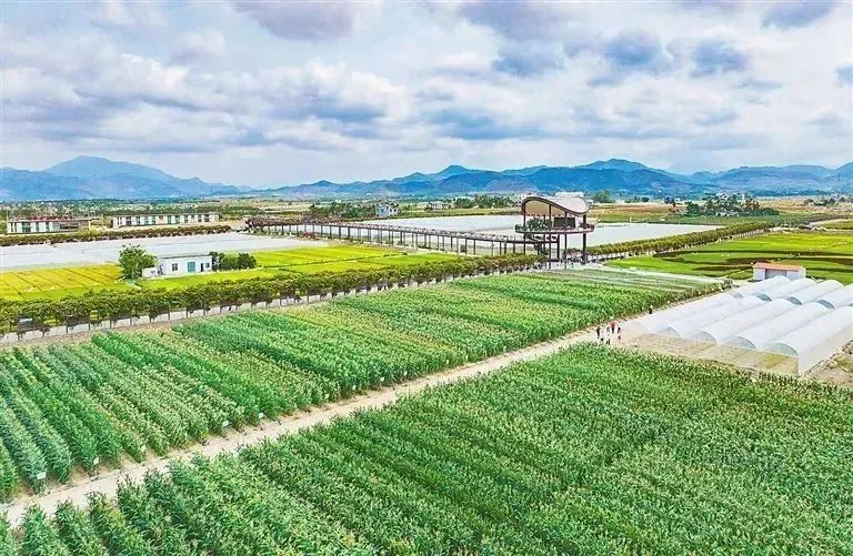 1728437553145012192.jpg 1728437553145012192.jpg