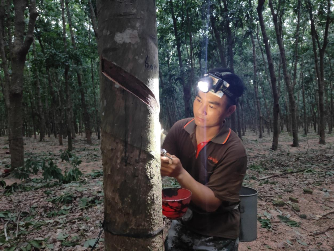 1747615300998081977.jpg 1747615300998081977.jpg